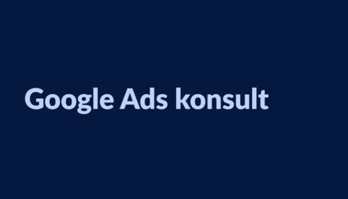 Google Ads konsult för effektiv marknadsföring och ökad försäljning